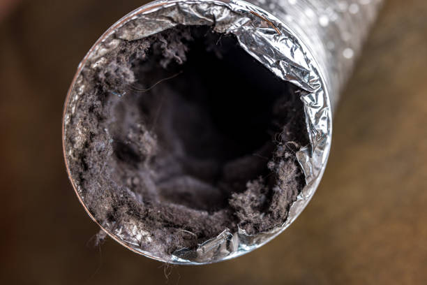 Best Affordable HVAC Duct Cleaning  in Hauser, ID