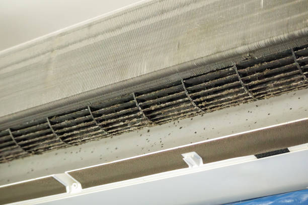 Best Dryer Vent Cleaning Services  in Hauser, ID